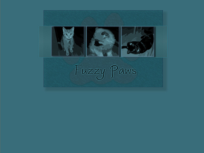 Fuzzy Paws web design webdesign website