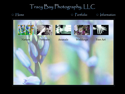 Tracy Bay Photography web design webdesign website