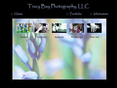 Tracy Bay Photography