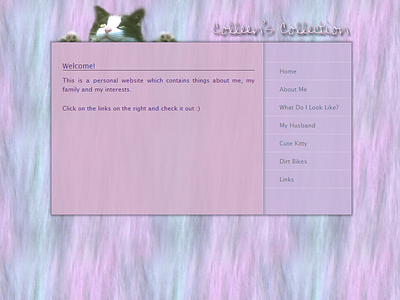 Colleen's Collection web design webdesign website