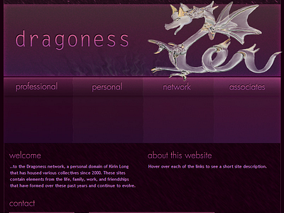 Dragoness web design webdesign website