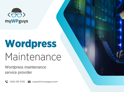 Affordable Wordpress Website Maintenance Services USA