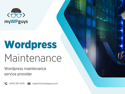 Affordable Wordpress Website Maintenance Services USA