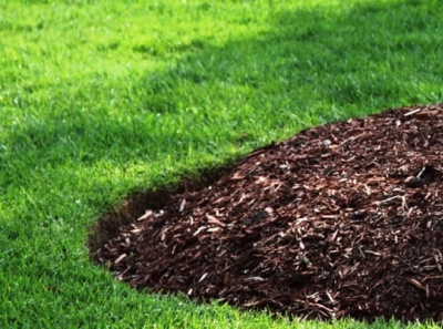 Mulch Delivery Rochester NY mulch delivery rochester ny mulching service rochester ny