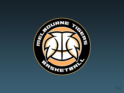 Basketball court rebrand design concepts