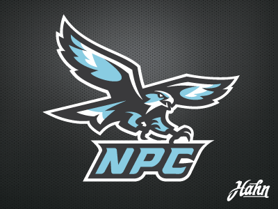 National Park College Nighthawks athletic branding hawks logo national park college nighthawks sports
