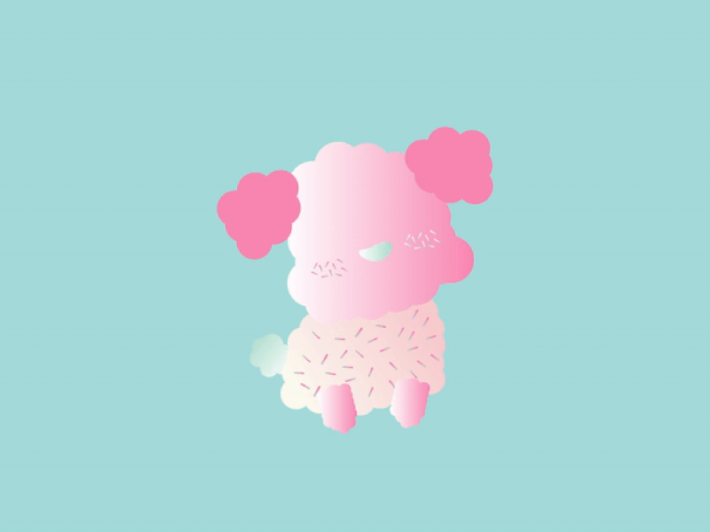 Cotton Candy Poodle 2d 2danimation abstract adobe adobe illustrator animated animation art artist creative cute cute illustration design dog illustration flat illustration minimal motion design motion graphic vector