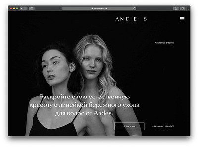 Andes website cosmetics online shop web design website design