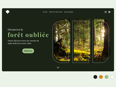 Forest brown dark design figma forest graphic design green tourism ui ux webdesign website