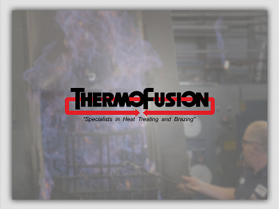 ThermoFusion's Cooking