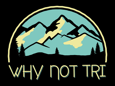 Why Not Triathlon apparel graphics branding design icon illustration minimal typography