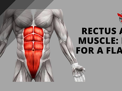 Rectus Abdominis Muscle Important For A Flat Stomach diet diet app exercises flat gym health nutrition obesity workout