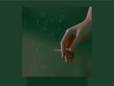 Sonic Youth - Daydream Nation album album art cover