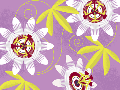 Passion Flower design floral illustration pattern design surface design vector
