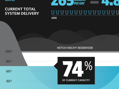 Dashboard Data Visualization infographic