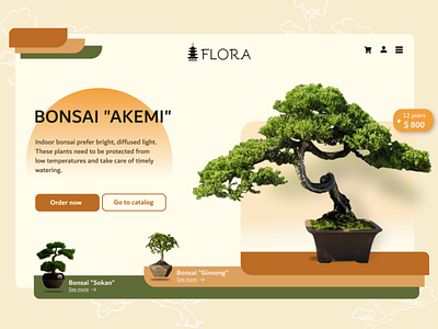 BONSAI Flora Shop UX UI Design bonsai design designer floral nature shop ui ux ui