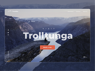 TravelNor Main Page design logo ui ux web