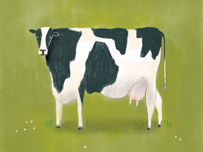 Cow animal illustration cow illustration procreate