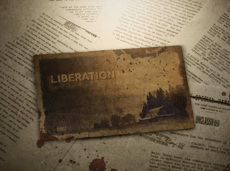 LIBERATION - Background server DAYZ by Pierre Pinto on Dribbble