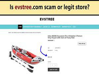 The Basics of Evstree.com