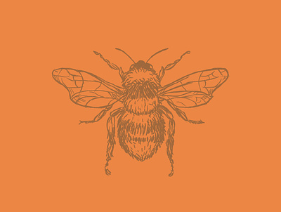 Bee art bee design drawing flower honey honeybee illustraion illustration illustrator yellow