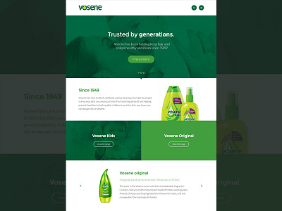 Vosene Homepage Concept clean concept flat full width green homepage modular website