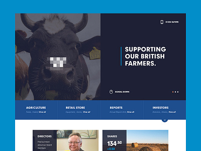 Desktop website 2015 block concept farming large font mockup modular website