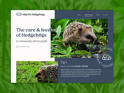 Help For Hedgehogs Advice Guide - UI Concept animal branding branding and identity branding concept concept desktop design hedgehog icon design illustration nature typography ui ui design user interface design ux design web design website concept website design wildlife wildlife art