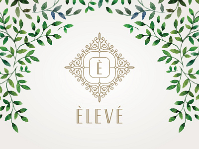 Eleve / Dos brand branding illustration initial logo logo design ornate restaurant restaurant logo