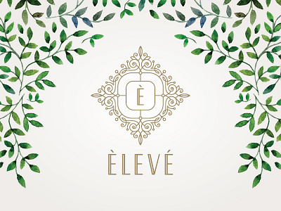 Eleve / Dos