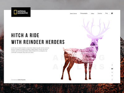 National Geographic - Landing page concept concept exploration. landing page minimalist monochrome national geographic nature reindeer silhouette web design website