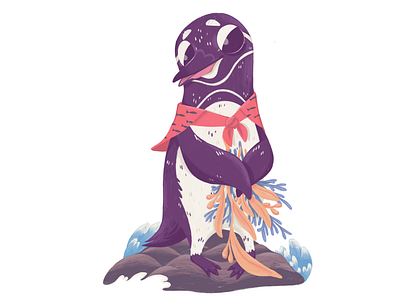 galapagos penguin animal animalillustration bookillustration drawing illustration penguin procreate
