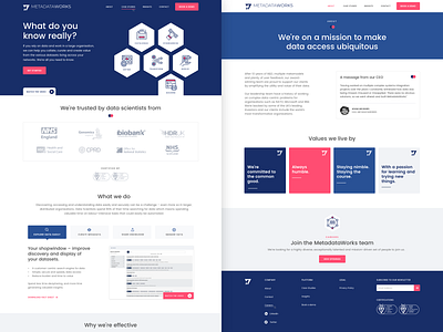 Metadataworks Website cards clean data data visualization marketing medical metadata navy ui uk website