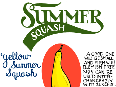 Summer Squash hand lettered illustrated bites illustration