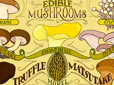 Edible Mushrooms food hand lettering illustration mushrooms typography