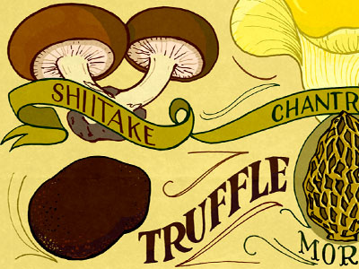 Edible Mushrooms 2 food hand lettering illustration mushrooms typography