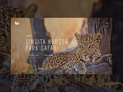 Experiences hero re-design — Singita africa hero interface minimal photography travel ui web website