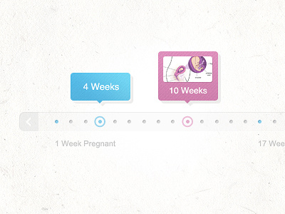 Pregnancy Stages baby clean stages steps web design