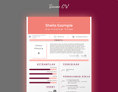 Curriculum Vitae Pink curricular vitae curriculum curriculum vitae cv cv adobe xd cv design cv template design