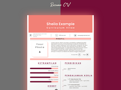 Curriculum Vitae Pink