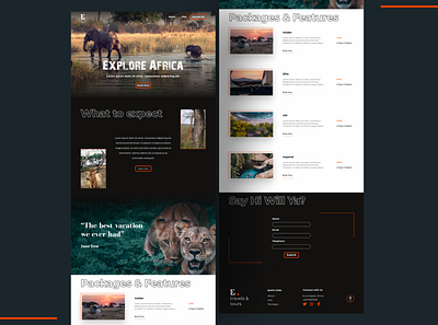 Beautiful Africa. Wild life Tourism Website animation clean creative landing page minimalistic ui ui design ux visual design web web design web designer webdesign website wordpress design wordpress website