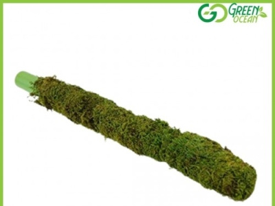 2 Feet Moss Stick at an Affordable Price | Green Ocean buy nursery buy plants at the lowest rate buy plants online buy pots