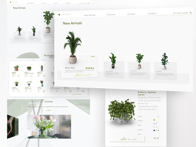 Plant Website Design design e comerce freelance luxury minimalist plant simplistic ui ui design ux web design website