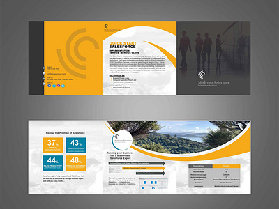 Catalog branding brochure catalog design graphic design illustration vector