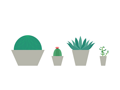 Succulents aloe cactus illustration jade succulents