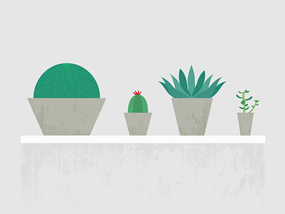 Succulents textured aloe cactus illustration jade succulents texture