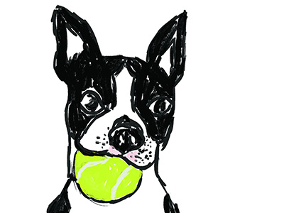 Lucy boston dog illustration terrier