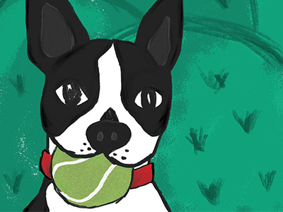 Lucy Part Dos boston dog illustration terrier