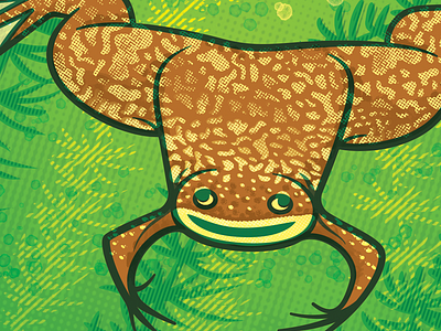 Froggie, in color design frog illustration sciart science vector