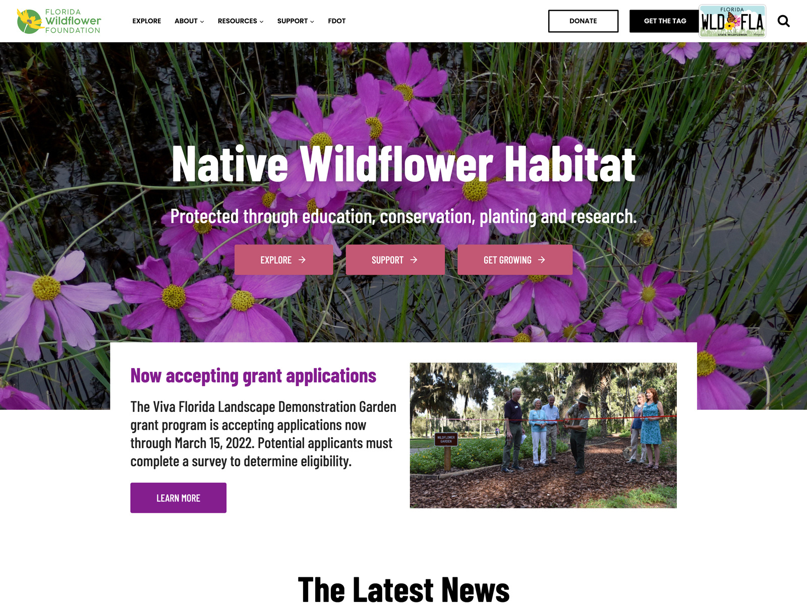 Florida Wildflower Foundation by Matthew Hunt on Dribbble